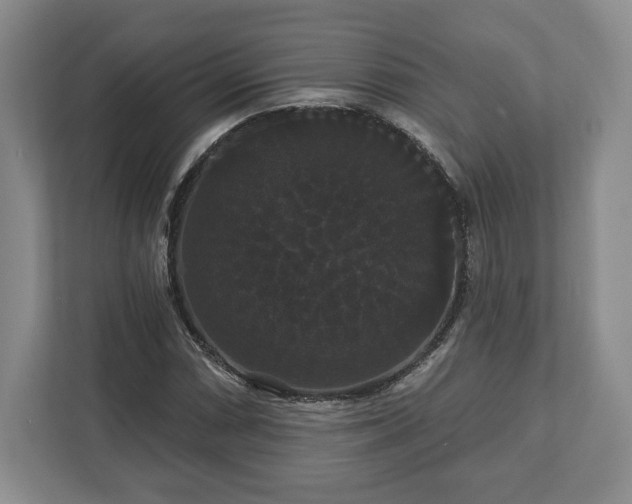 X0000113061066200909041033