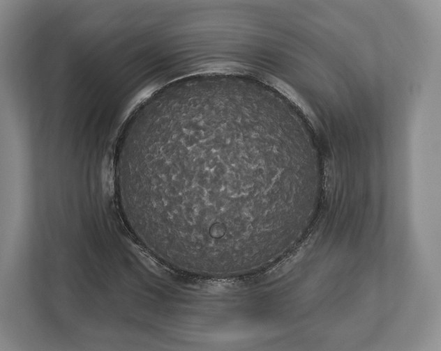 X0000113061067200909041033