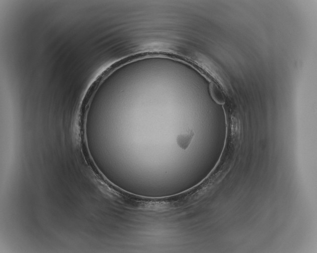X0000113061068200909041033