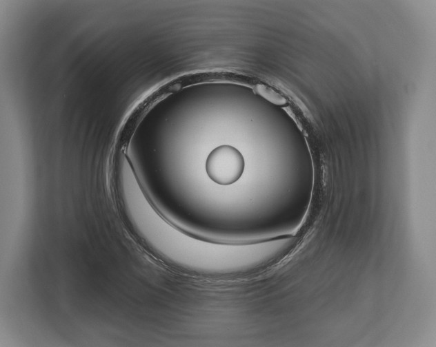 X0000113061069200909041033