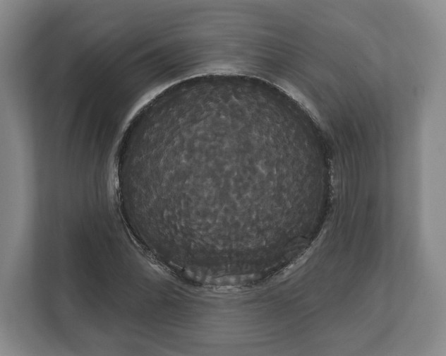 X0000113061070200909041033