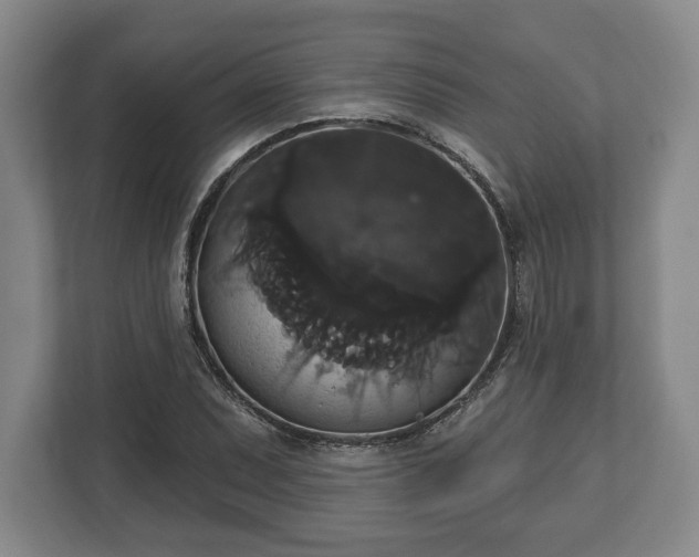X0000113061071200909041033