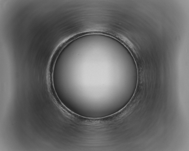 X0000113061072200909041033