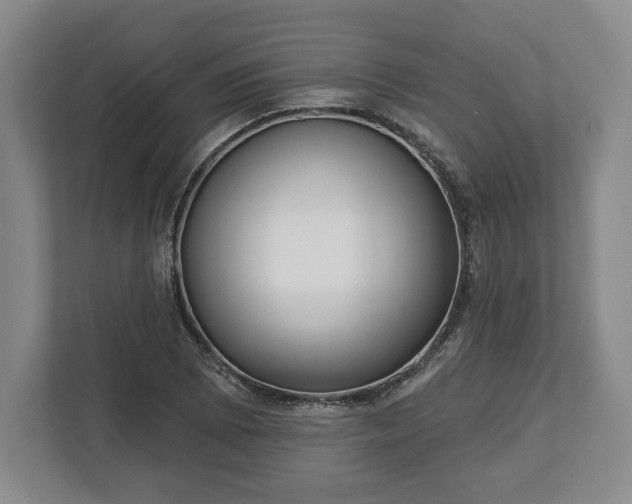 X0000113061073200909041033