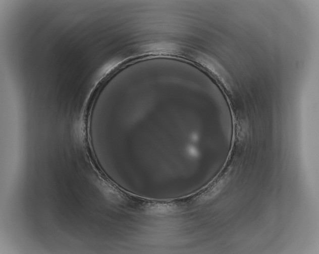 X0000113061074200909041033
