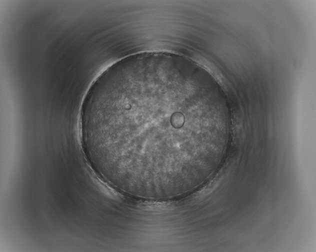 X0000113061076200909041033