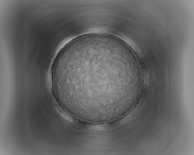 X0000113061078200909041033