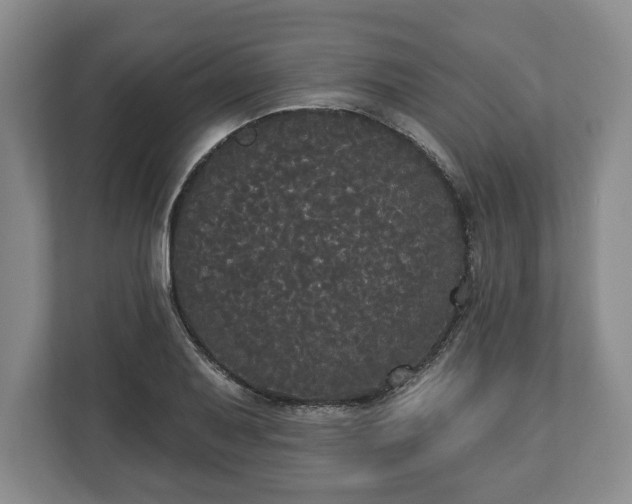 X0000113061079200909041033