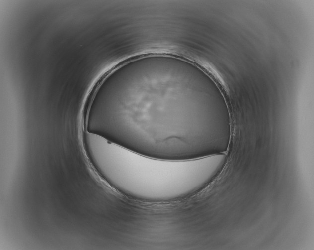 X0000113061080200909041033