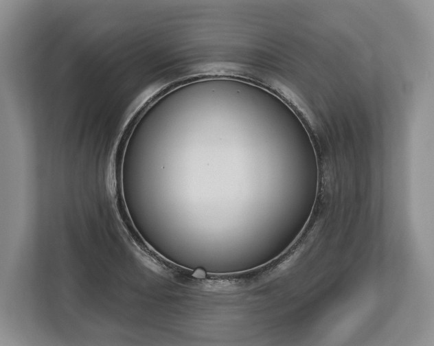 X0000113061082200909041033