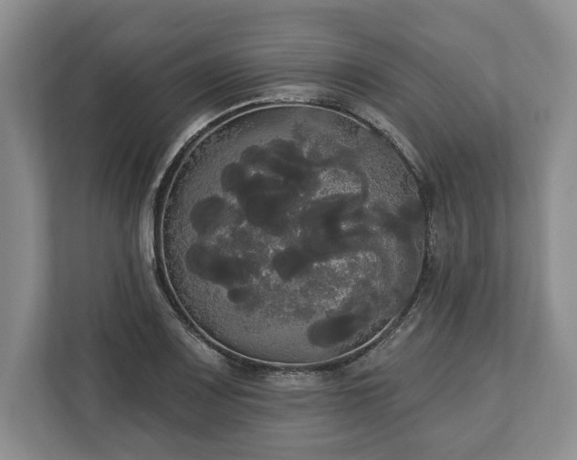 X0000113061083200909041033