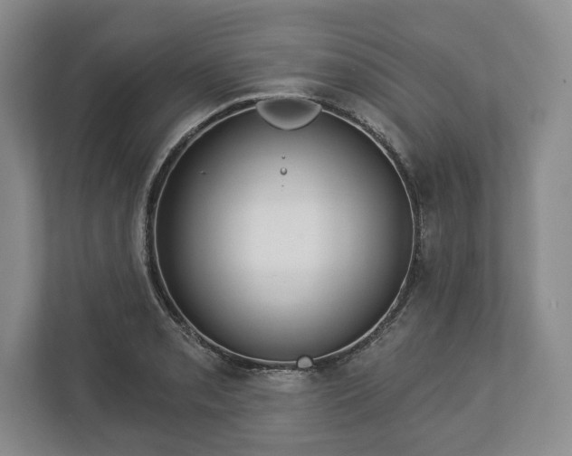 X0000113061085200909041033