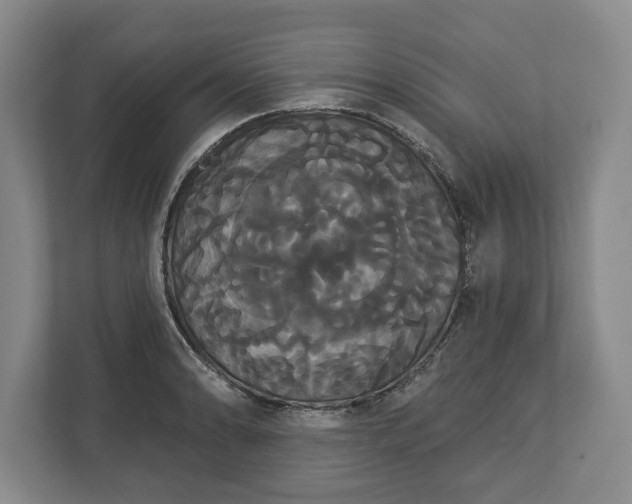 X0000113061086200909041033