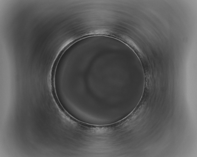X0000113061087200909041033
