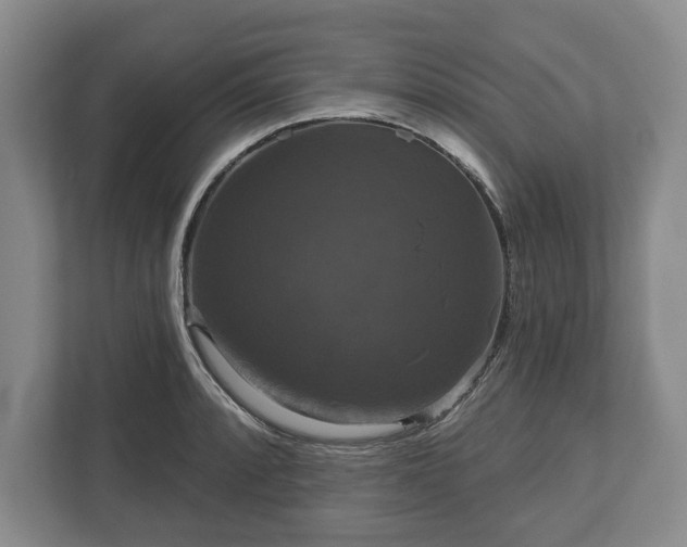 X0000113061088200909041033