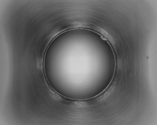 X0000113061089200909041033