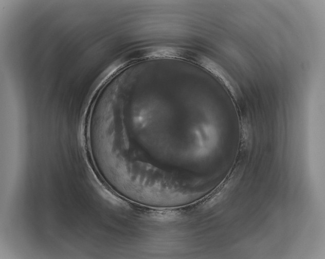 X0000113061090200909041033