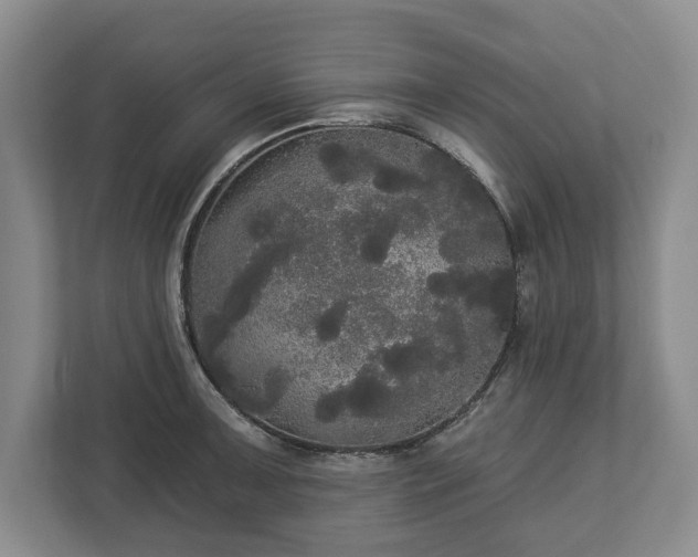 X0000113061091200909041033