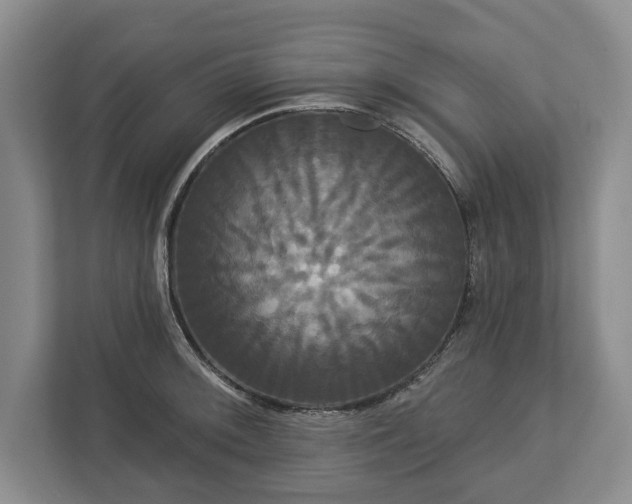 X0000113061092200909041033