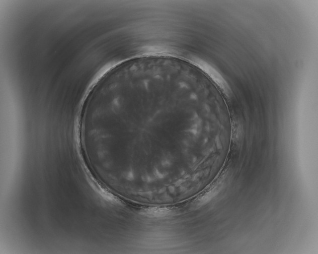 X0000113061094200909041033