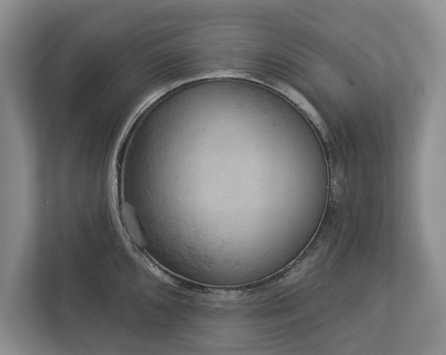 X0000113061096200909041033