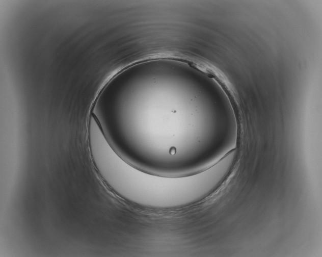 X0000113061097200909041033