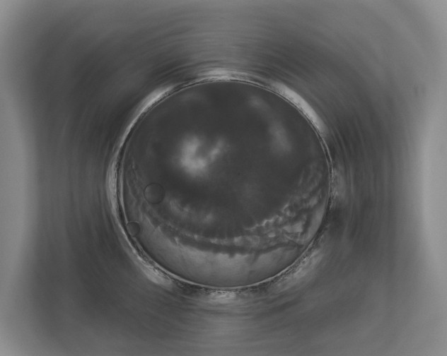 X0000113061098200909041033