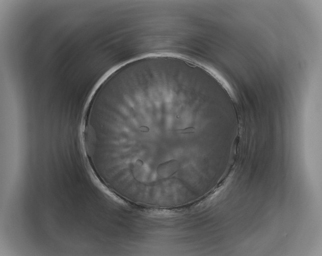X0000113061100200909041033