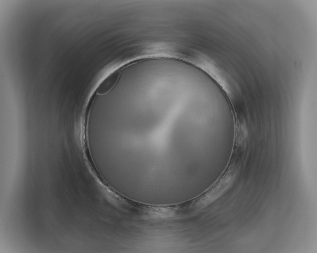 X0000113061101200909041033