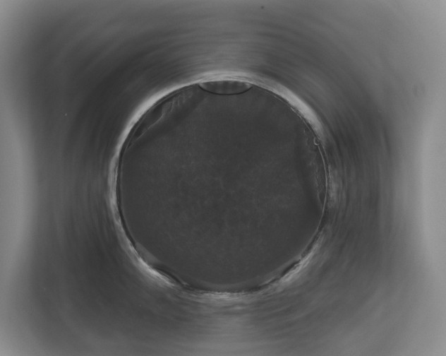 X0000113061102200909041033
