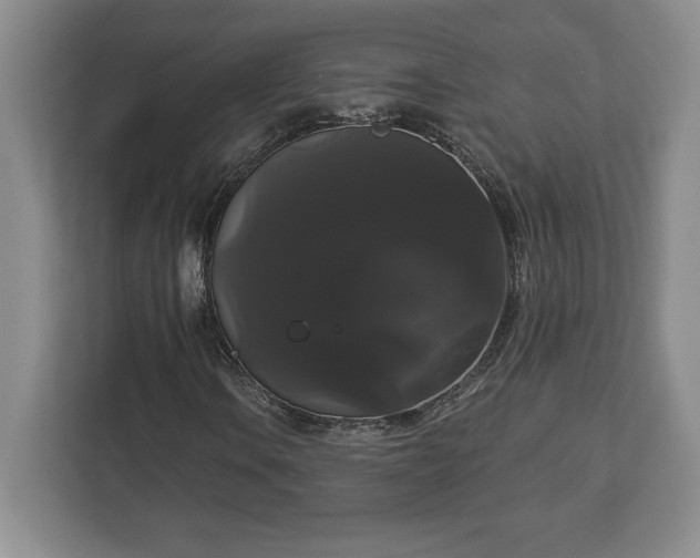 X0000113061106200909041032