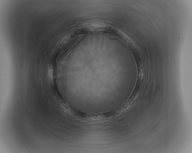 X0000113061108200909041032