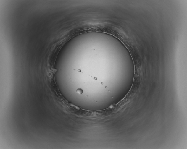 X0000113061109200909041032