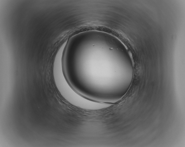 X0000113061110200909041032