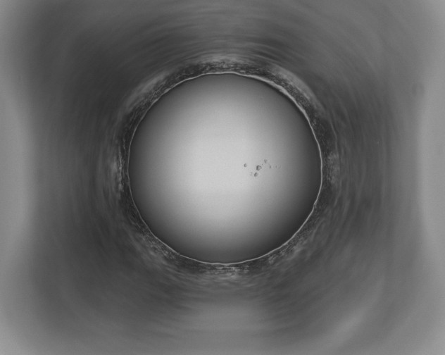 X0000113061111200909041032