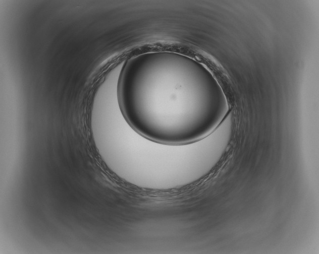 X0000113061112200909041032