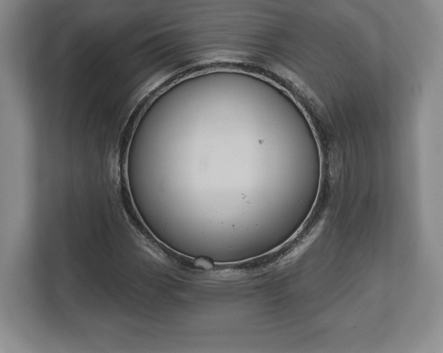 X0000113061113200909041032