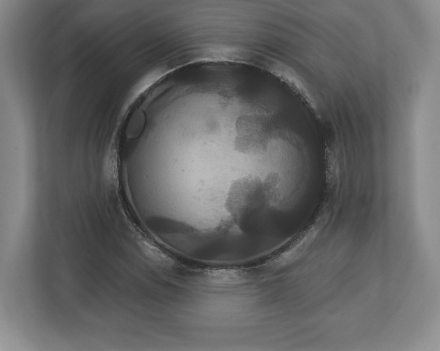 X0000113061114200909041032