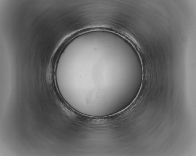 X0000113061116200909041032