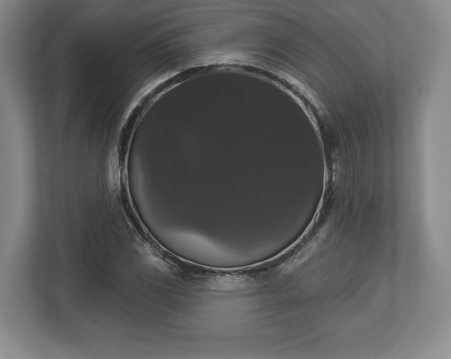 X0000113061117200909041032