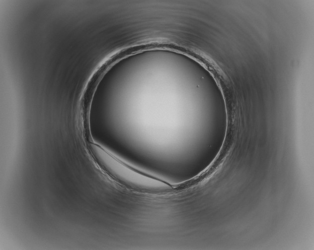 X0000113061118200909041032