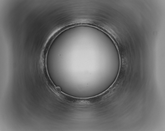 X0000113061119200909041032