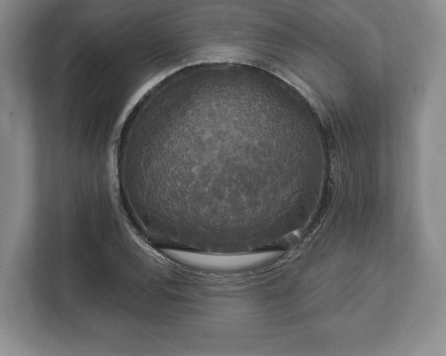 X0000113061120200909041032