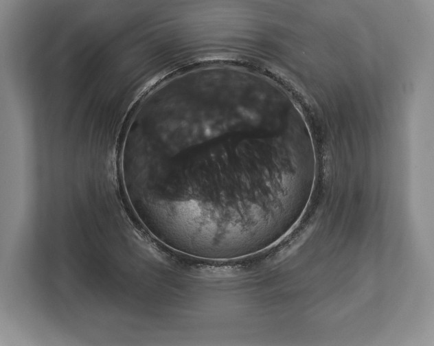 X0000113061121200909041032