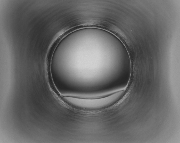 X0000113061122200909041032