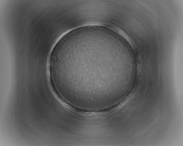 X0000113061124200909041032
