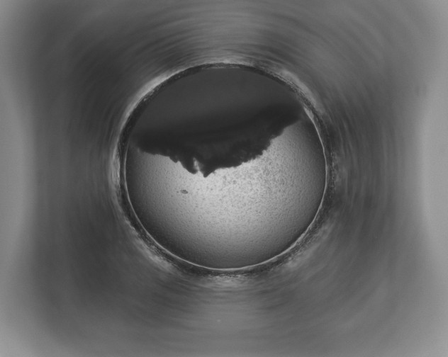 X0000113061125200909041032