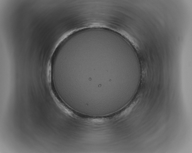 X0000113061126200909041032