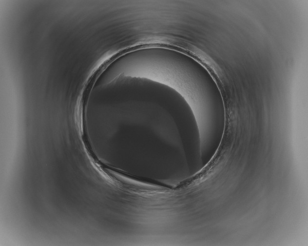 X0000113061127200909041032