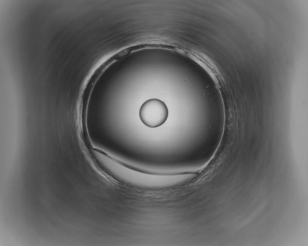 X0000113061128200909041032